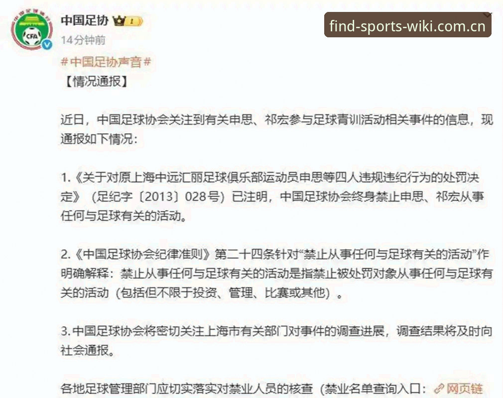 维基体育官网 17人终身禁足、48人行业处罚:维基体育官网如何拆解足协第三批名单的数据逻辑?